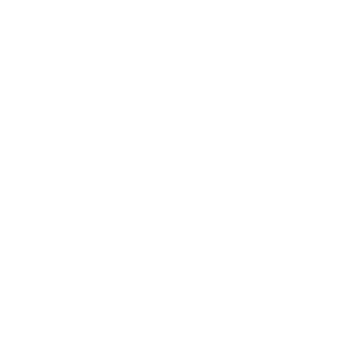 magnemount 1